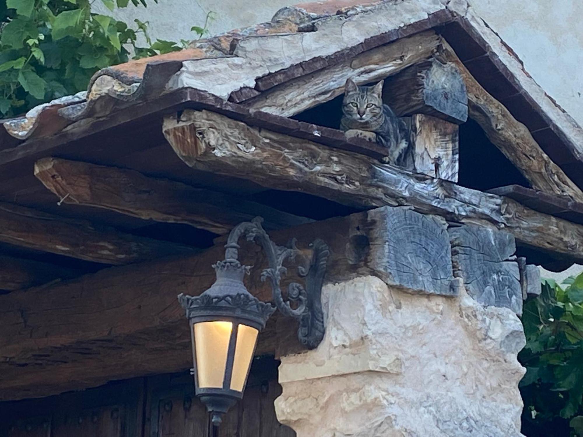 Hotel El Corral De Perorrubio Zewnętrze zdjęcie